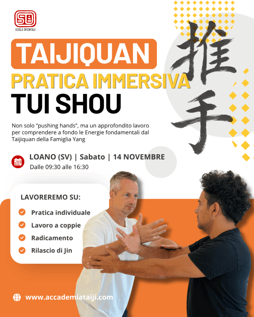 Locandina Pratica immersiva — Tui Shou, Loano, sabato 14 novembre 2026, ore 09:30–16:30