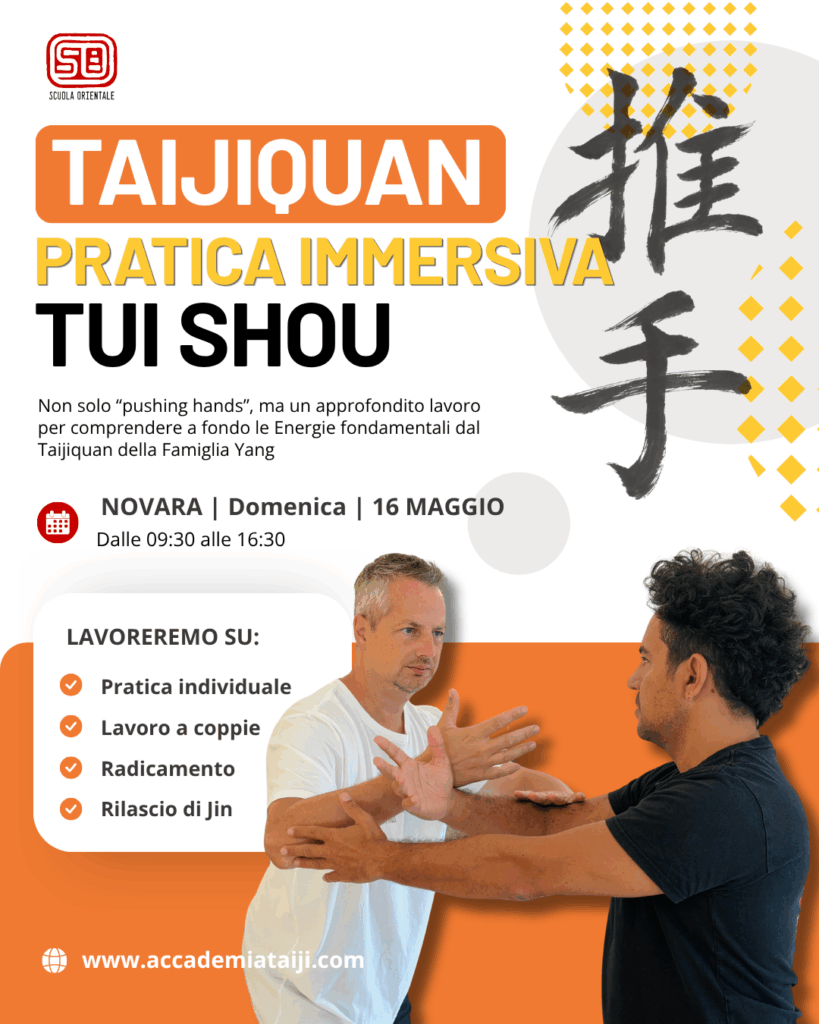 Locandina Pratica immersiva — Tui Shou, Novara, domenica 16 maggio 2027, ore 09:30–16:30