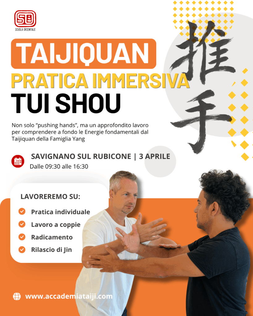 Locandina Pratica immersiva — Tui Shou, Savignano sul Rubicone, sabato 3 aprile 2027, ore 09:30–16:30